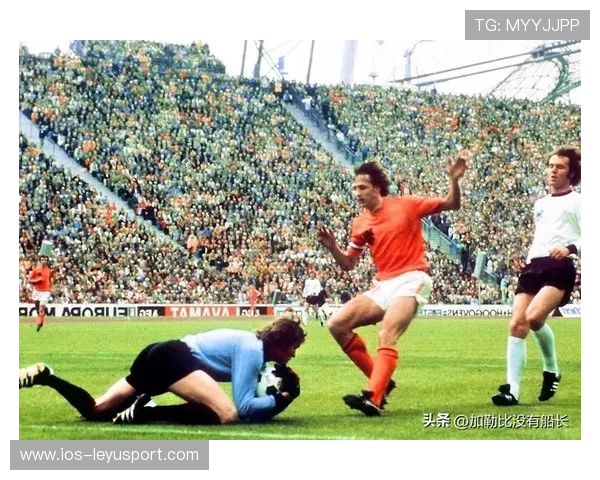 世界杯赛场文化冲突的解决之道被讨论